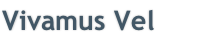 Vivamus Vel 
