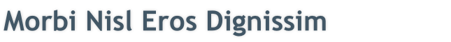 Morbi Nisl Eros Dignissim
