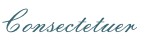 Consectetuer
