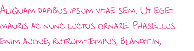 Aliquam dapibus ipsum vitae sem. Ut eget mauris ac nunc luctus ornare. Phasellus enim augue, rutrum tempus, blandit in, 
