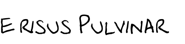 e risus Pulvinar 
