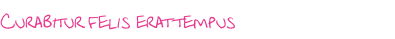 Curabitur felis erat tempus
