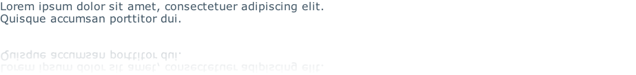 Lorem ipsum dolor sit amet, consectetuer adipiscing elit. 
Quisque accumsan porttitor dui. 
