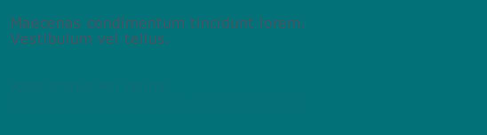 Maecenas condimentum tincidunt lorem. 
Vestibulum vel tellus. 
