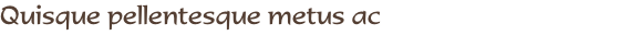 Quisque pellentesque metus ac 
