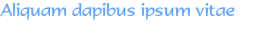 Aliquam dapibus ipsum vitae 
