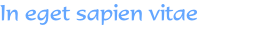 In eget sapien vitae 
