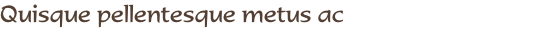 Quisque pellentesque metus ac 
