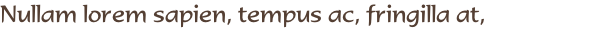 Nullam lorem sapien, tempus ac, fringilla at, 
