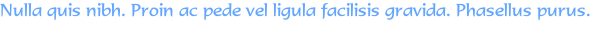 Nulla quis nibh. Proin ac pede vel ligula facilisis gravida. Phasellus purus. 
