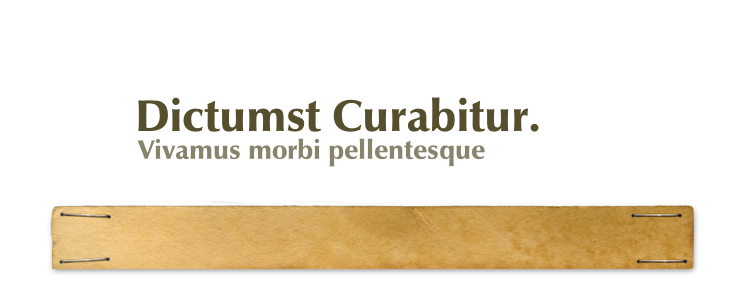Vivamus morbi pellentesque
