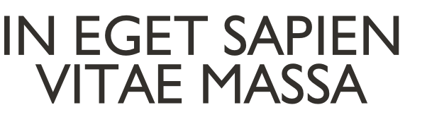 IN EGET SAPIEN
VITAE MASSA
