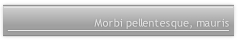 Morbi pellentesque, mauris 

