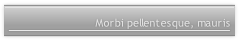 Morbi pellentesque, mauris 
