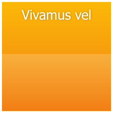 Vivamus vel
