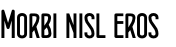 Morbi nisl eros
