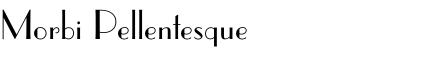 Morbi Pellentesque
