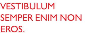 Vestibulum semper enim non eros. 
