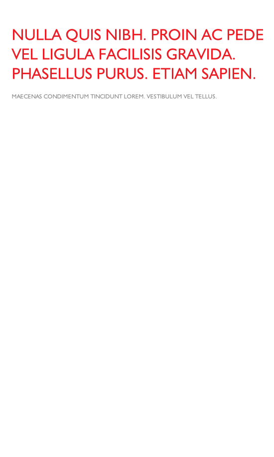 Maecenas condimentum tincidunt lorem. Vestibulum vel tellus. 
