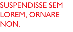 Suspendisse sem lorem, ornare non.
