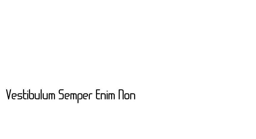 Vestibulum Semper Enim Non
