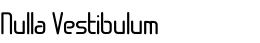 Nulla Vestibulum 
